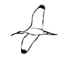 Hout Ibis vogel vector afbeelding